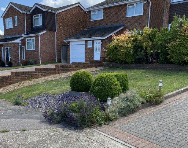 Natural Lawn — Front Garden, Strood before